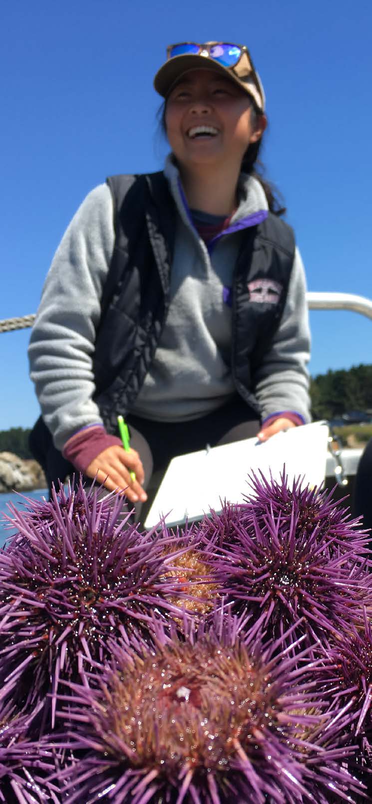 CSU COAST Student Internships Summer 2024 Climate HQ